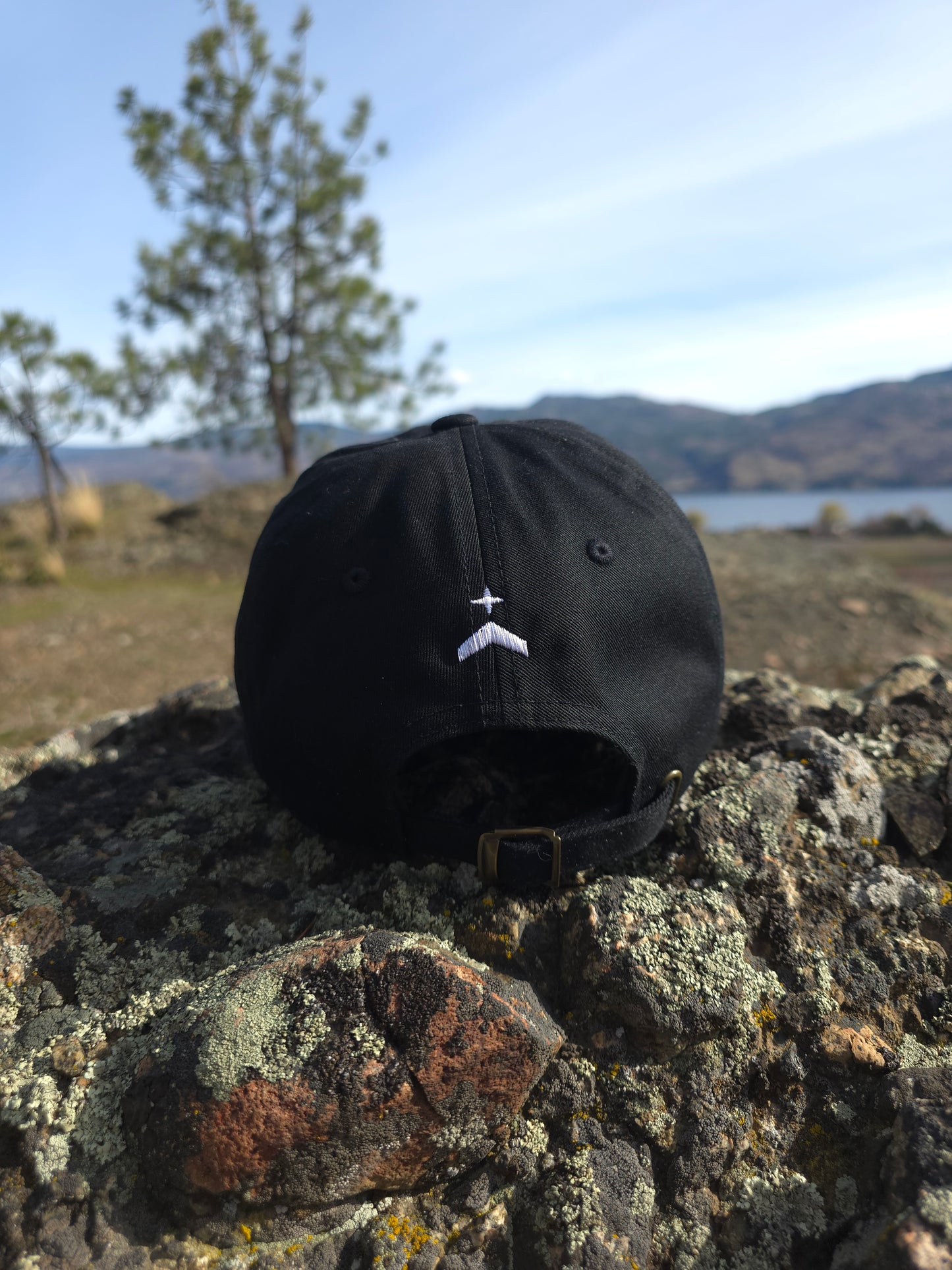 Unity Polaris Dad hat